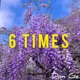 6 Times Single