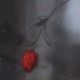 Thorn for Their Roses EP