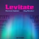 Levitate feat City Monster Single