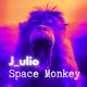 Space Monkey Single