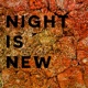 Night Is New Single