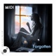 Forgotten Single