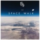 Space Walk Single