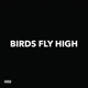Birds Fly High Single