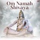 Om Namah Shivaya Single