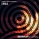 Tribe Single