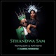 Sthandwa Sam feat Gabriel Youngstar Single