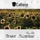 Road Summer Single