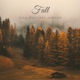 Fall Single