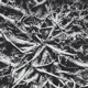 Distance EP