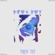 Tren Tei Single