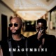 Emagumbini Single
