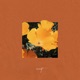 All Else Fades Single