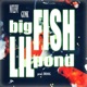 BIG FISH LIL POND feat GunK Single