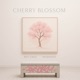 Cherry Blossom Single