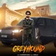 Greyhound Single