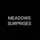 MEADOWS SURPRISES Single