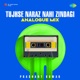 Tujhse Naraz Nahi Zindagi Analogue Mix Single