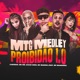 MTG MEDLEY PROIBIDÃO 1 0 feat Mc Magrinho Single