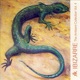 The Ambient Collection Vol 4