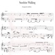 Sunshine Walking Single