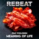 Meaning of Life Single