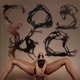 Lapdance from Asia Single