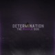 Determination The Purple Side