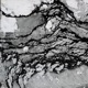 Mycelium Single