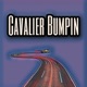 Cavalier Bumpin Single