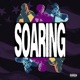 SOARING Single