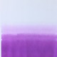 Lavender Single