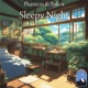 Sleepy Night Single