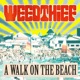 A Walk on the Beach Single