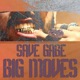 Big Moves Single