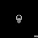 Xray Single