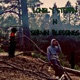 Lonely Steppin N Servin Blessings Single