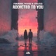 Addicted To You Single