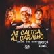 Ai Calica Ai Caralho Brega Funk Single
