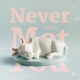 Never Met You Single