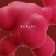 Escape Single
