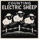 Electric Sheep feat Roach the DJ Single