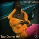 Too Damn Hot Single