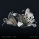 Love Me Now Single