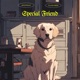 Special Friend feat Flavio Rizzi Single