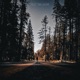 Out the Door feat SIXROT Single