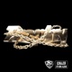 Trophy EP