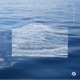 Stereofox Presents Land of the Long White Cloud DJ Mix
