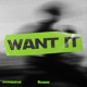 Want It Single