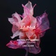Cloud Walking feat Lake Silver Single